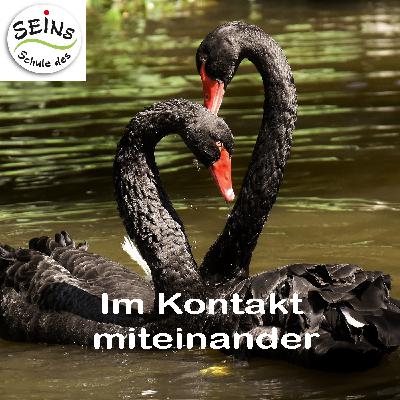 Im Kontakt miteinander in Zeiten der Pandemie