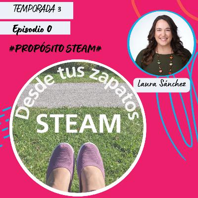 T3.0.- PROPÓSITO STEAM
