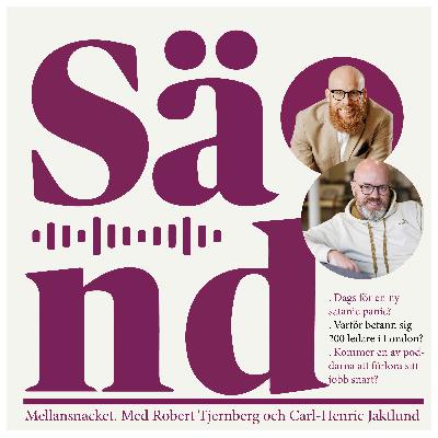 Ep 45: Mellansnack om Satanic Panic