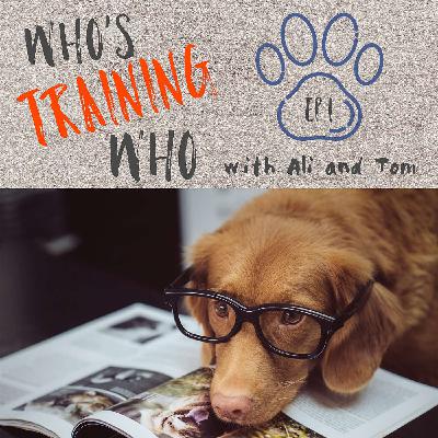 Who's Training Who - Episode 1 - Positive Reinforcement Training, Event Marker Training, Muzzles, Leash Pulling Who's Training Who - Episode 1 - Positive Reinforcement Training, Event Marker Training, Muzzles, Leash Pulling
