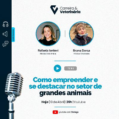 Como empreender e se destacar no setor de grandes animais