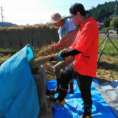 ＃45 さては寒露の田んぼ考❓無事に脱穀も終わり、あらためて米づくり、食べものを作る意味、畑とのかかわりを考える。えんがわマルシェ10/16 たねの会10/19告知