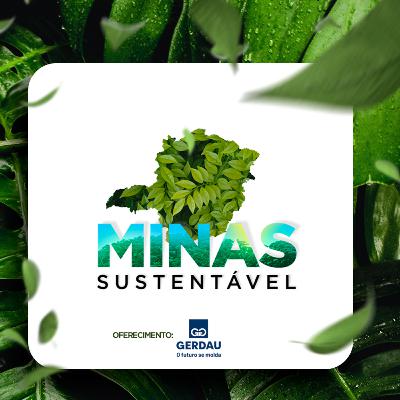 De fogão solar a geração de energia em casa: conheça iniciativas sustentáveis de moradores de BH - Minas Sustentável