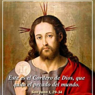 Evangelio del Sábado 3 de Enero. Juan 1,29-34. Evangelio del Sábado 3 de Enero. Juan 1,29-34.