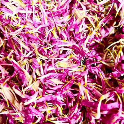 11月2日　秋の味覚