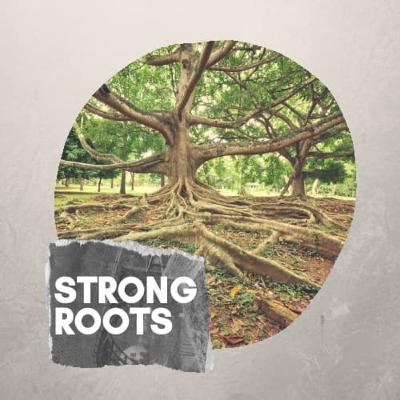 Strong Roots with Michael Moore