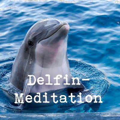 Delfin-Meditation für Kinder Delfin-Meditation für Kinder