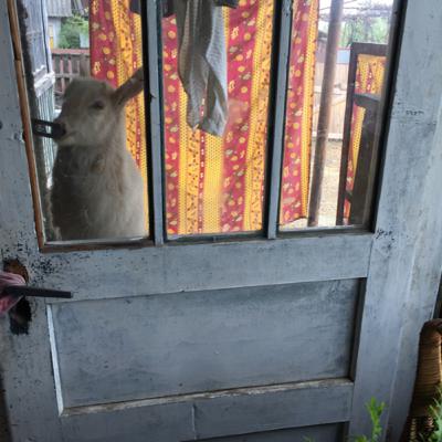 Aussteigen in den Waldkarpaten Aussteigen in den Waldkarpaten