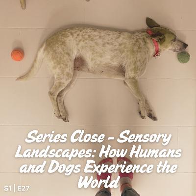 S1 E27 Series Close: Sensory Landscapes: How Humans and Dogs Experience the World