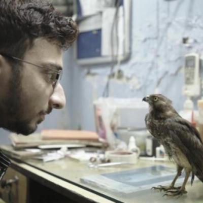 Episode 106: All That Breathes (2022) / The Hospital (1971)