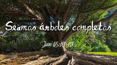 Seamos arboles completos Seamos arboles completos