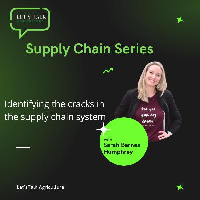 Identifying the cracks in the supply chain system with Sarah Barnes Humphrey