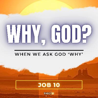 Job: When We Ask God Why (Bonus Episode)