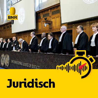 Advies Internationaal Gerechtshof over Gaza hangt als schaduw boven genocide-zaak tegen Israël