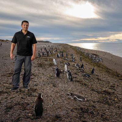 The Story presents: Planet Hope - the penguin guardian of Patagonia