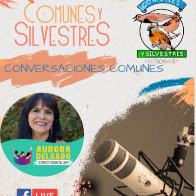 Conversaciones Comunes con Aurora Delgado Constituyente D24