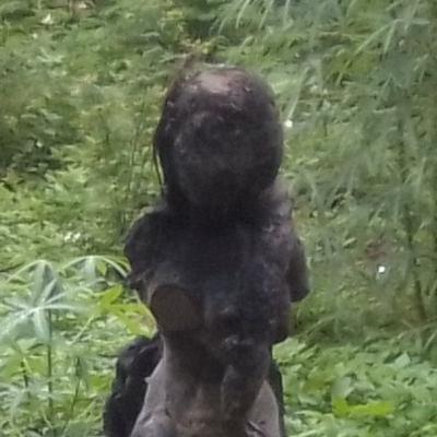 Suara-Suara Menyeramkan Suara-Suara Menyeramkan