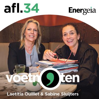 Hoe stelt de EU haar kritieke grondstoffen veilig?