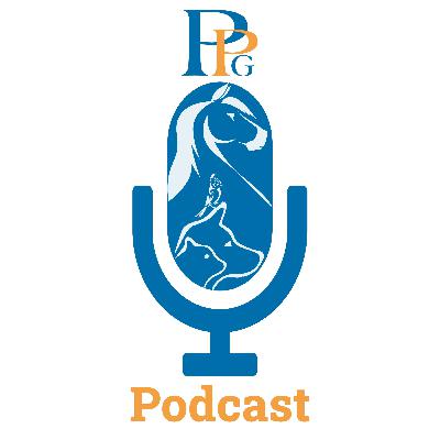 Chat and Chuckle with Dr. Marci Koski About Paths to Becoming a Feline Behavior Consultant