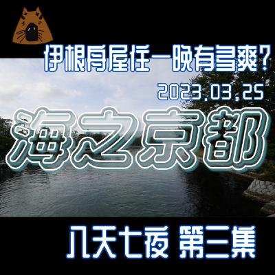 聽我旅行-日本八天七夜第三集 |住舟屋有多爽？海之京都伊根町天橋立。餓瘦~下次絕對會訂晚餐-昨天玩太累今天玩點文靜的，很美很值得來 | 艾比是我 我是艾比