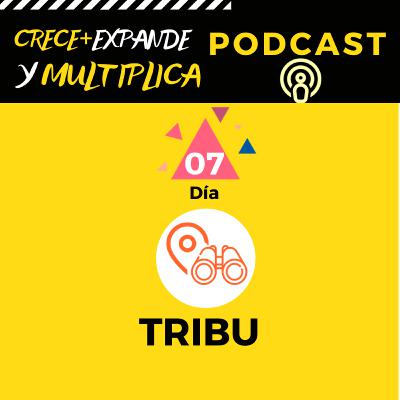 Día 7 - Tribu