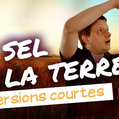 Vous êtes le sel de la terre Vous êtes le sel de la terre