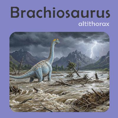 Brachiosaurus | Story Brachiosaurus | Story