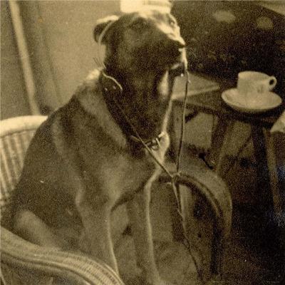 E186 - Top Secret Misinformation - Part 5