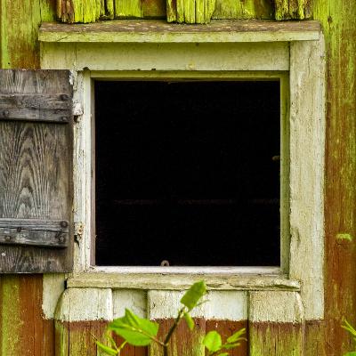 第8回『ザ・スクエア 思いやりの聖域』