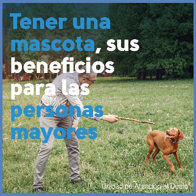 Tener una mascota, sus beneficios para las personas mayores