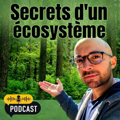 Dans ton jardin tout est connecté (la preuve une fois de plus)