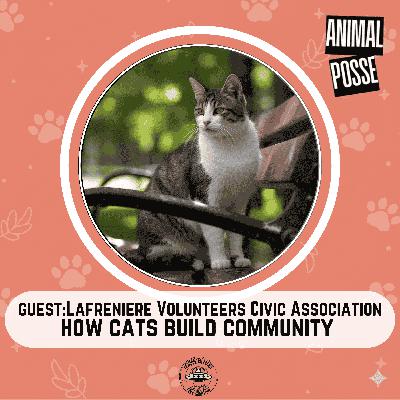 How Cats Are Building Community at Lafreniere Park