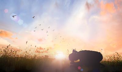 Freedom in forgiveness