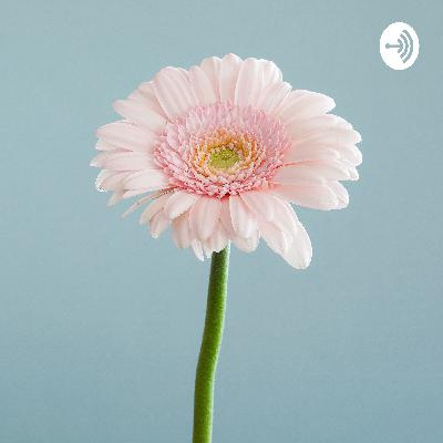 Hello, diary (Trailer)