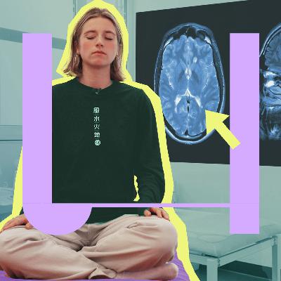 793. Mindfulness: vaag gedoe of serieuze wetenschap? 793. Mindfulness: vaag gedoe of serieuze wetenschap?