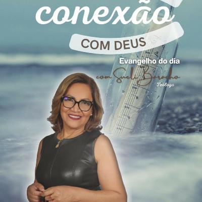 Evangelho/comentário 15/07/24
