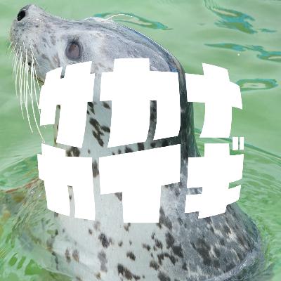 ママママ :: サカナカイギBGMの作者・しょうじさんが女川に来てくれたよ〈ゲストカイ〉