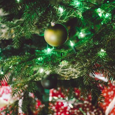 "Вкус биржи" выходит на новый уровень. Итоги 2025 года