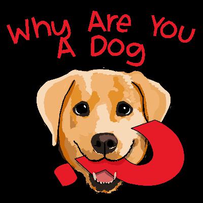 74 - Why Are You a Shetland Sheepdog?