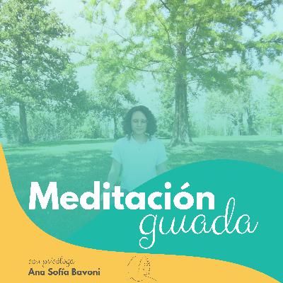 Guiada: Gratitud antes de dormir Guiada: Gratitud antes de dormir