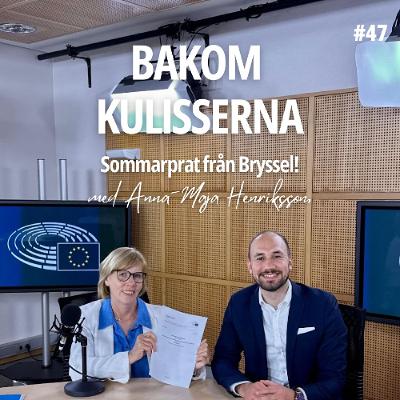 Första året i Europaparlamentet avklarat - Bakom kulisserna med Anna-Maja Henriksson #47