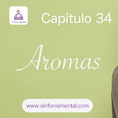 Fase VII - Capítulo 34: Aromas