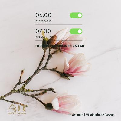 Tempo de Pascua | VI sábado