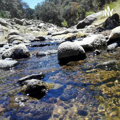 Vibremos alto  (Trailer)