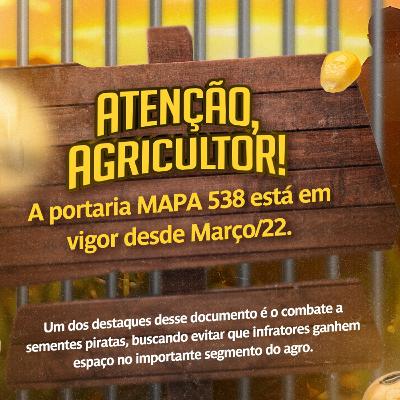 MOMENTO APASEM #115: Portaria MAPA 538 está em vigor desde março/2022