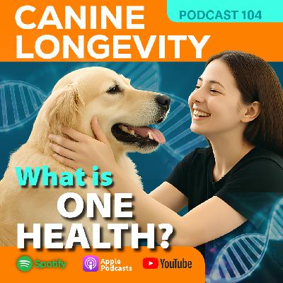 One Health One Health