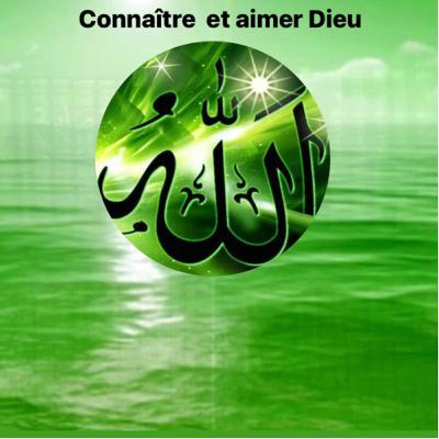 L'influence des Noms divins et des Qualités divines sur nos comportements épisode 7 (en français) L'influence des Noms divins et des Qualités divines sur nos comportements épisode 7 (en français)