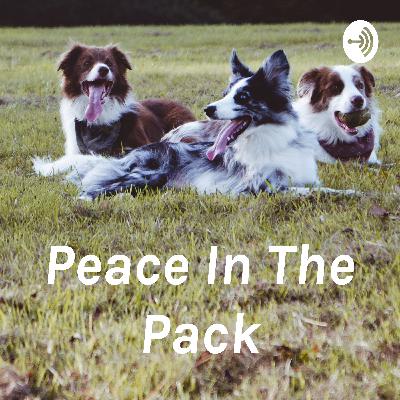 Peace In The Pack - Our Dogs and the Pandemic Peace In The Pack - Our Dogs and the Pandemic