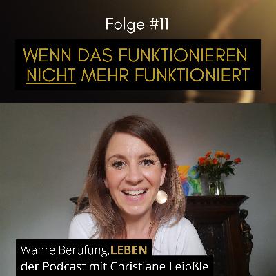 #011 Wenn das Funktionieren nicht mehr funktioniert