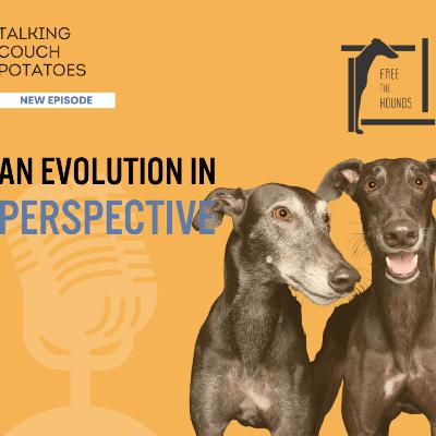 EP36: An Evolution in Perspective